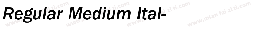 Regular Medium Ital字体转换